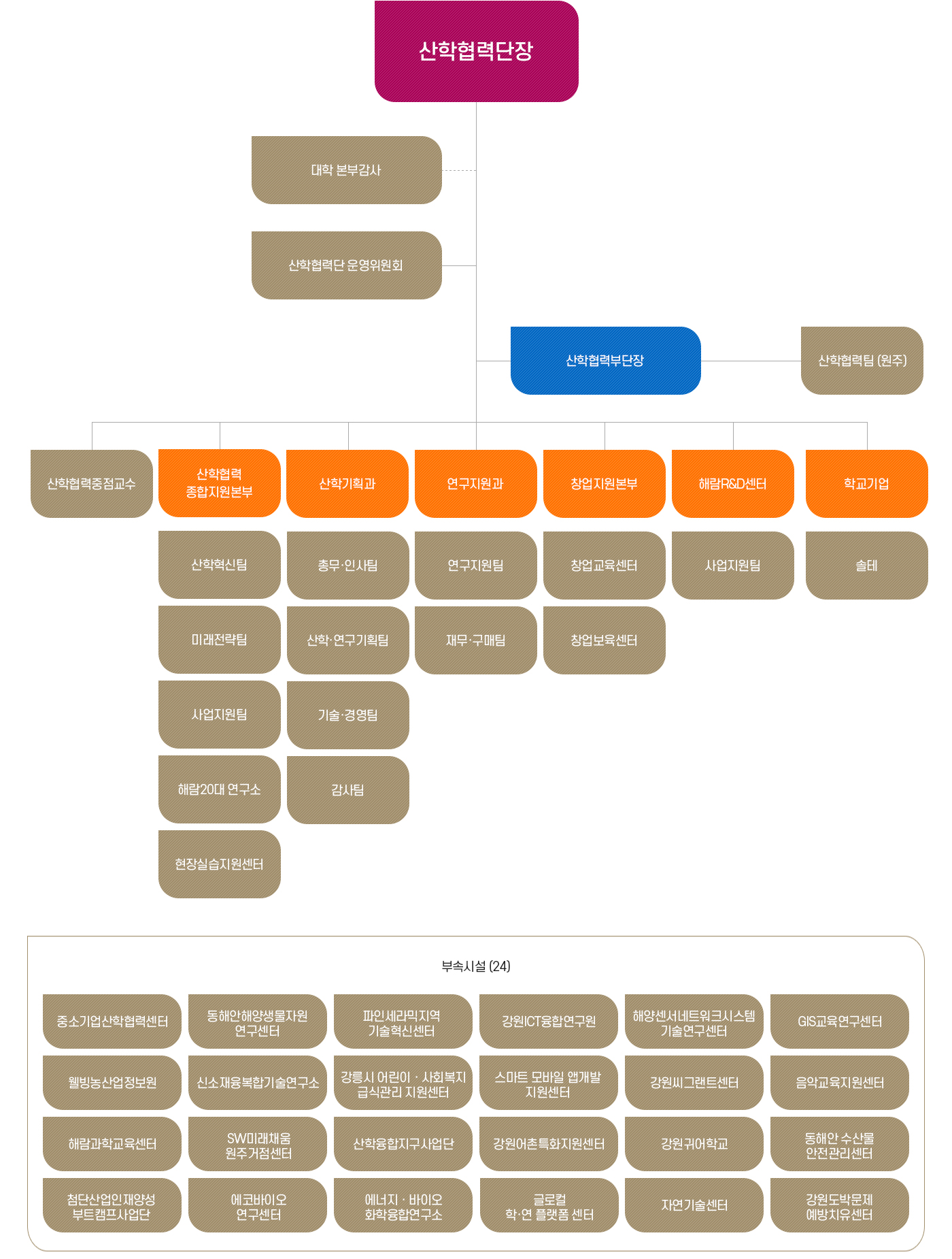 강원대학교 원주산학협력단 조직도